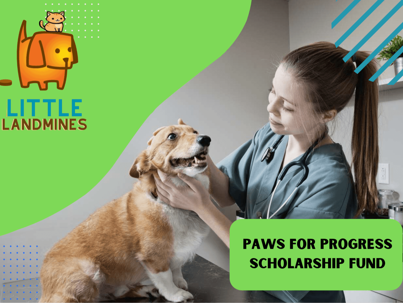 Little Landmines Paws for Progress Scholarship Fund