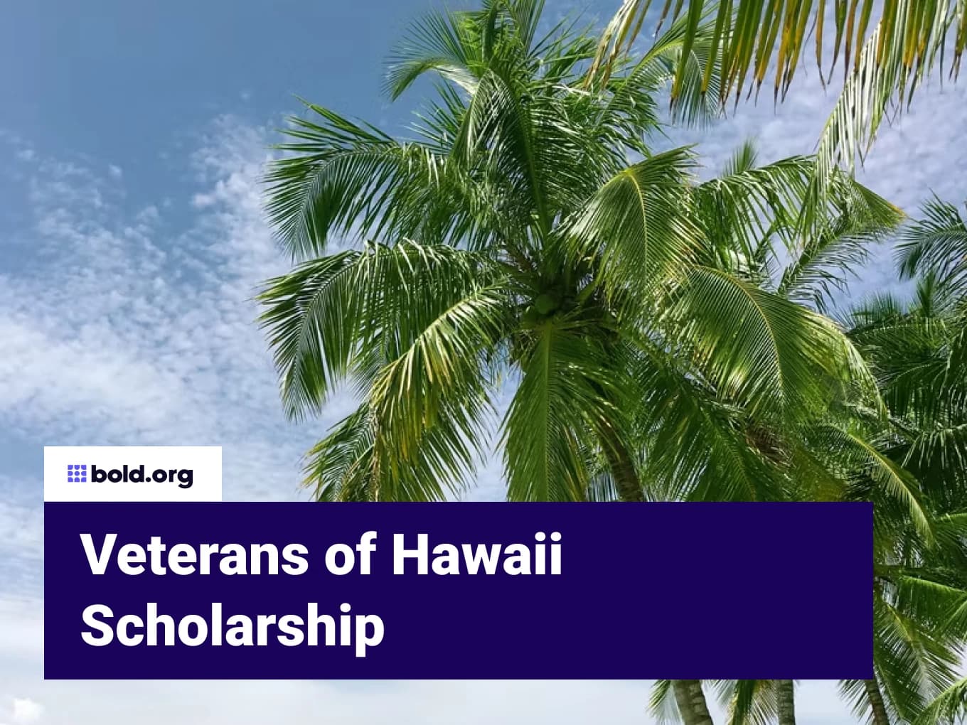 Veterans of Hawaii Scholarship