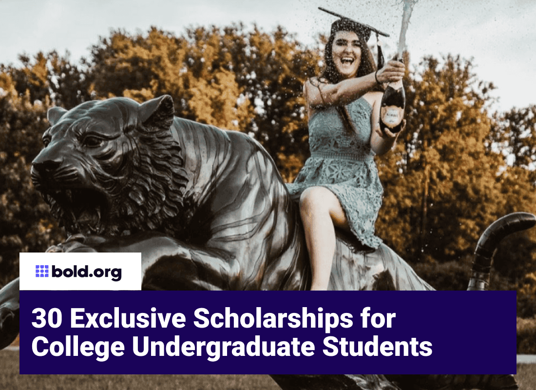 Undergraduate Scholarships