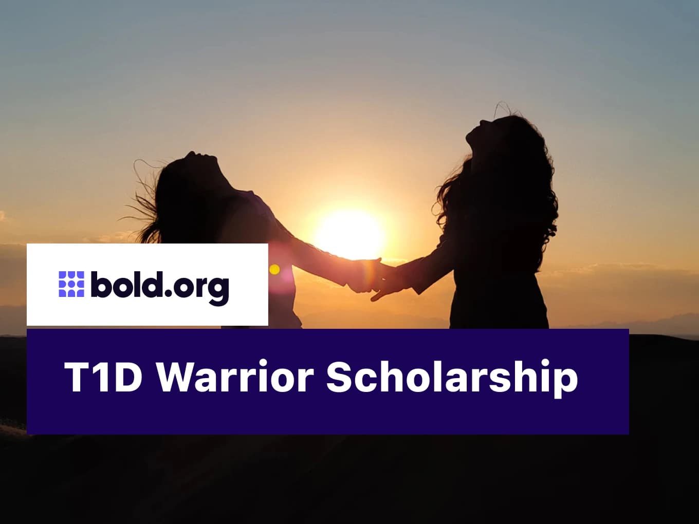 T1D Warrior Scholarship