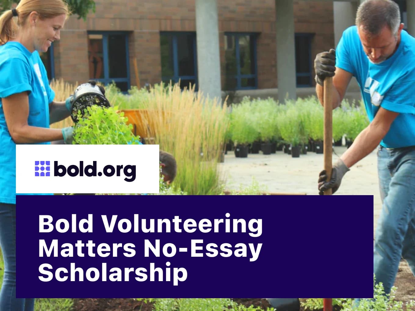 Bold Volunteering Matters No-Essay Scholarship