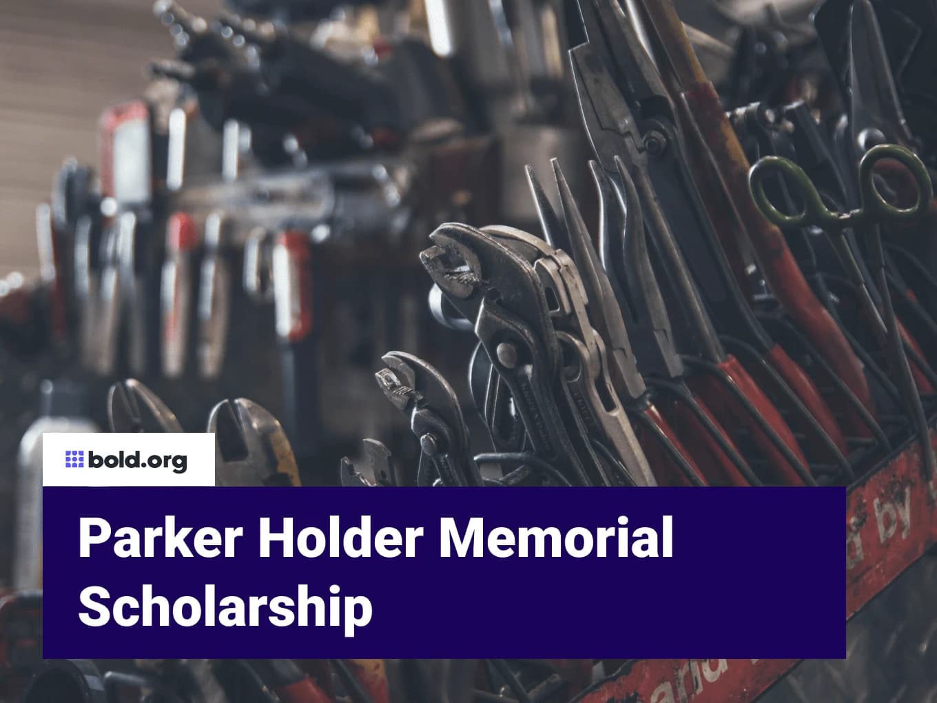 Parker Holder Memorial Scholarship