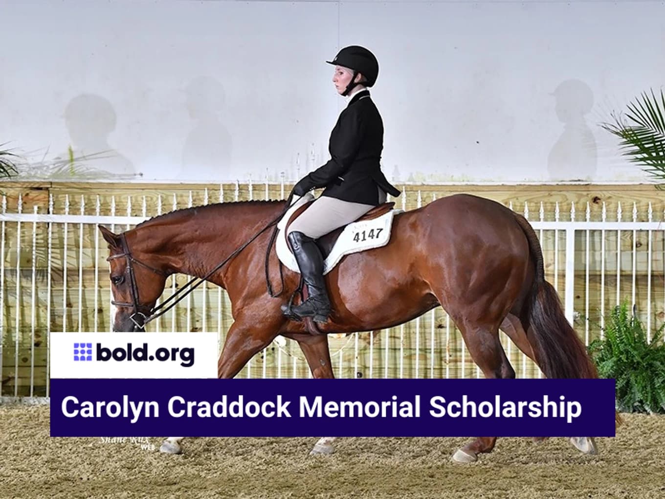 Carolyn Craddock Memorial Scholarship