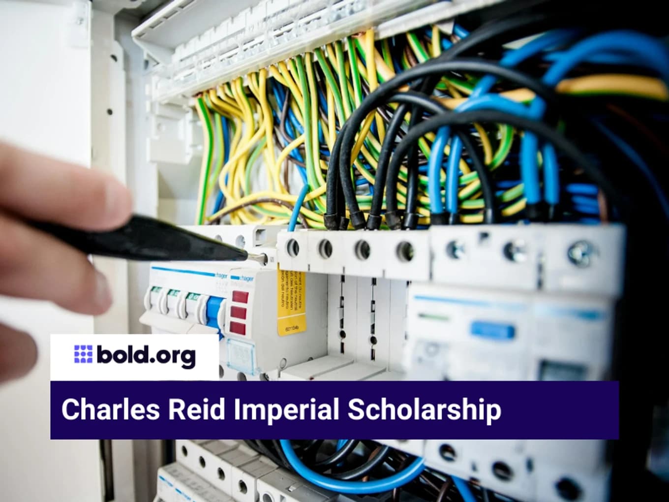 Charles Reid Imperial Scholarship