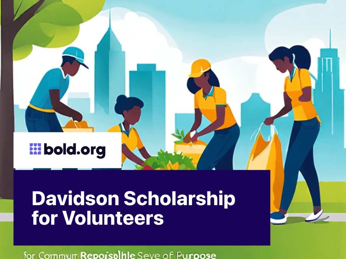 Davidson Scholarship for Volunteers