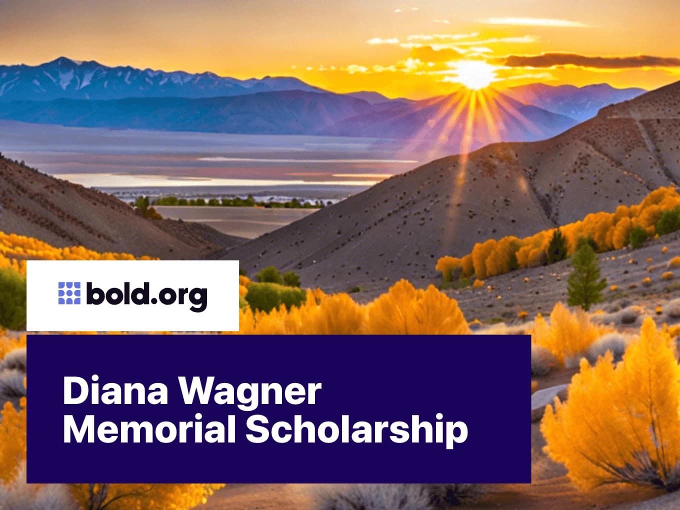 Diana Wagner Memorial Scholarship