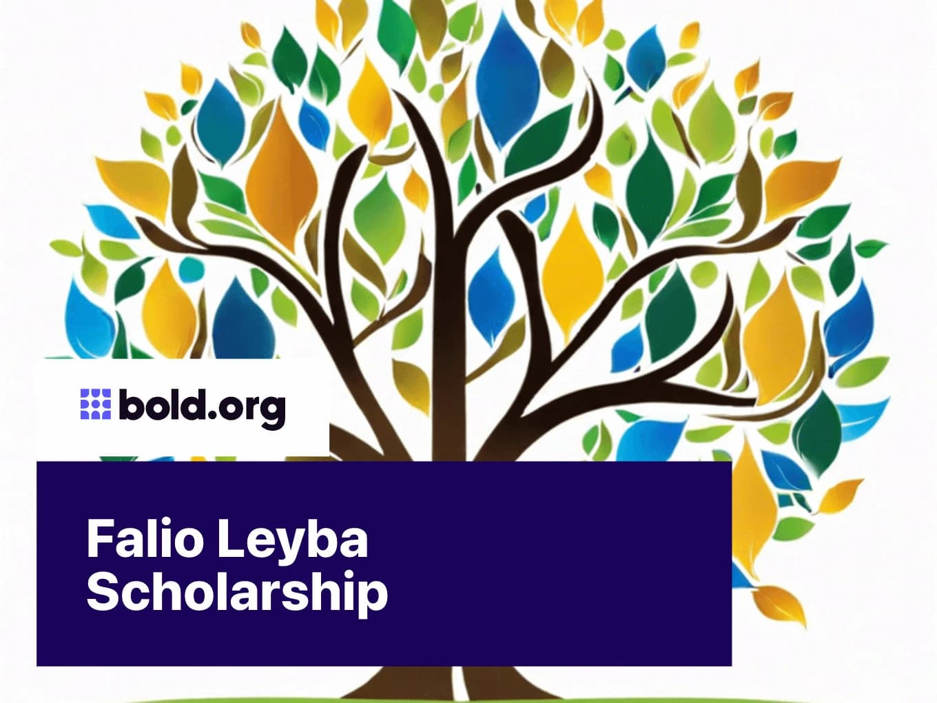 Falio Leyba Scholarship