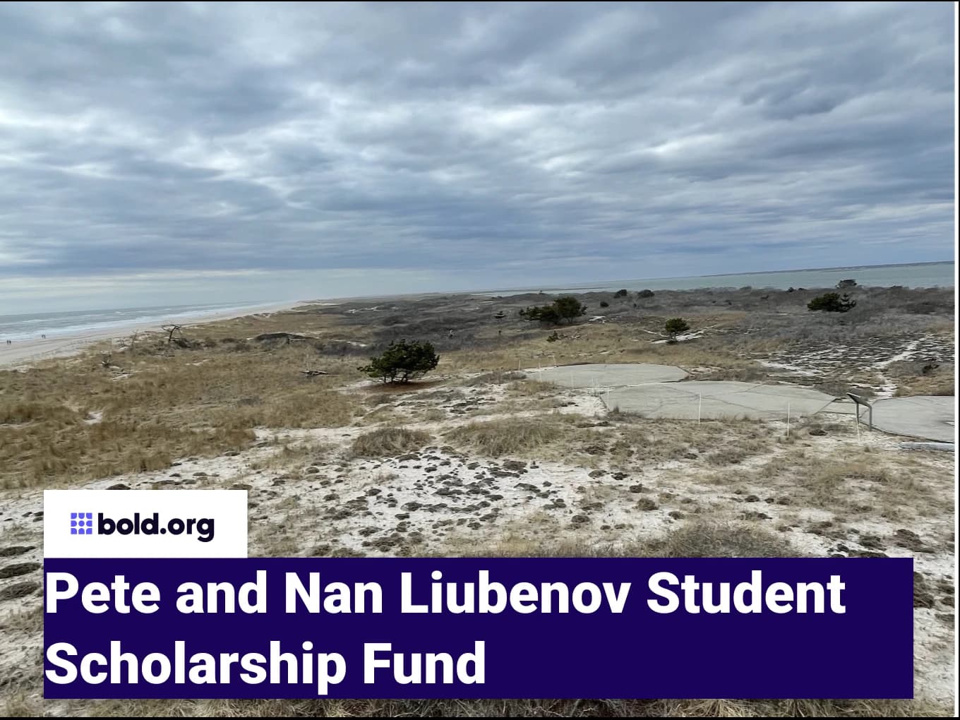 Pete and Nan Liubenov Student Scholarship Fund