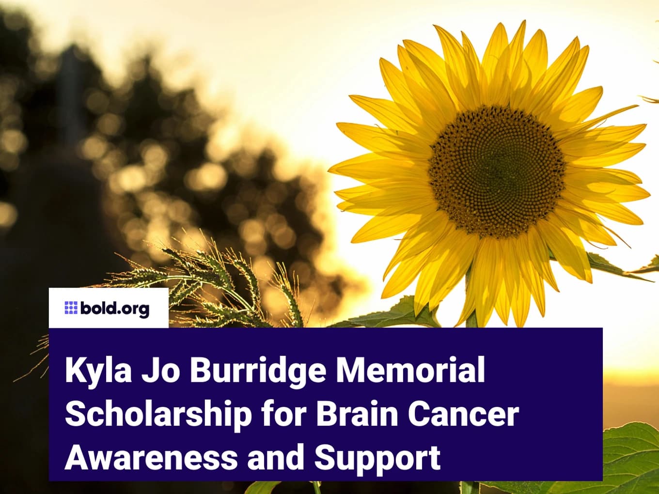 Kyla Jo Burridge Memorial Scholarship for Brain Cancer Awareness and Support