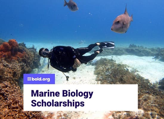 Marine Biology Scholarships