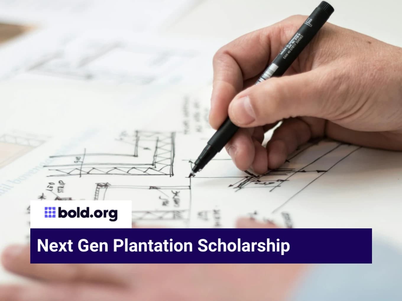 Next Gen Plantation Scholarship