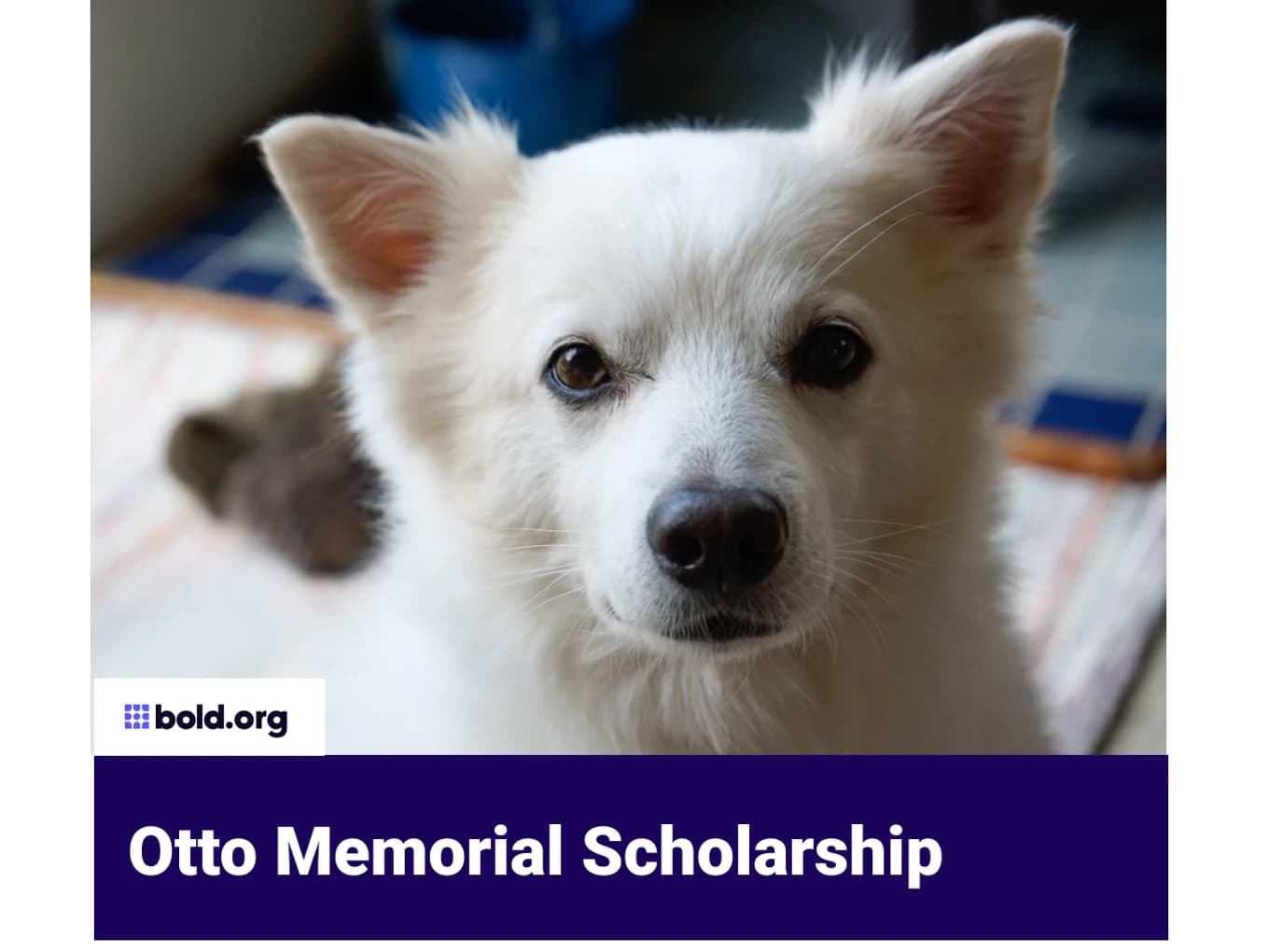 Otto Memorial Scholarship