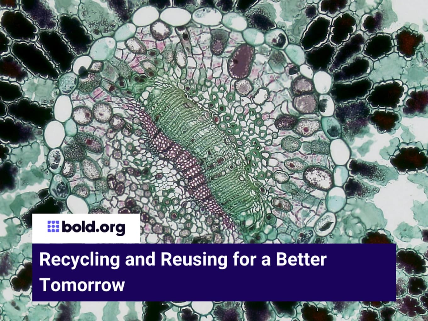 Recycling and Reusing for a Better Tomorrow