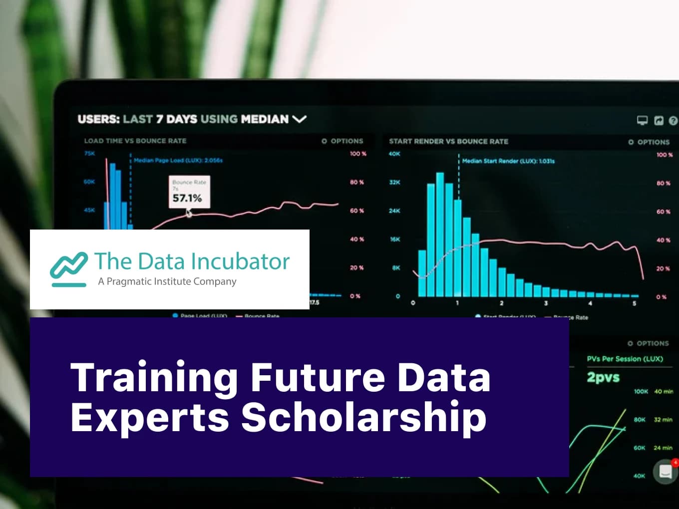 Training Future Data Experts Scholarship