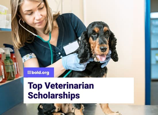 Veterinarian Scholarships